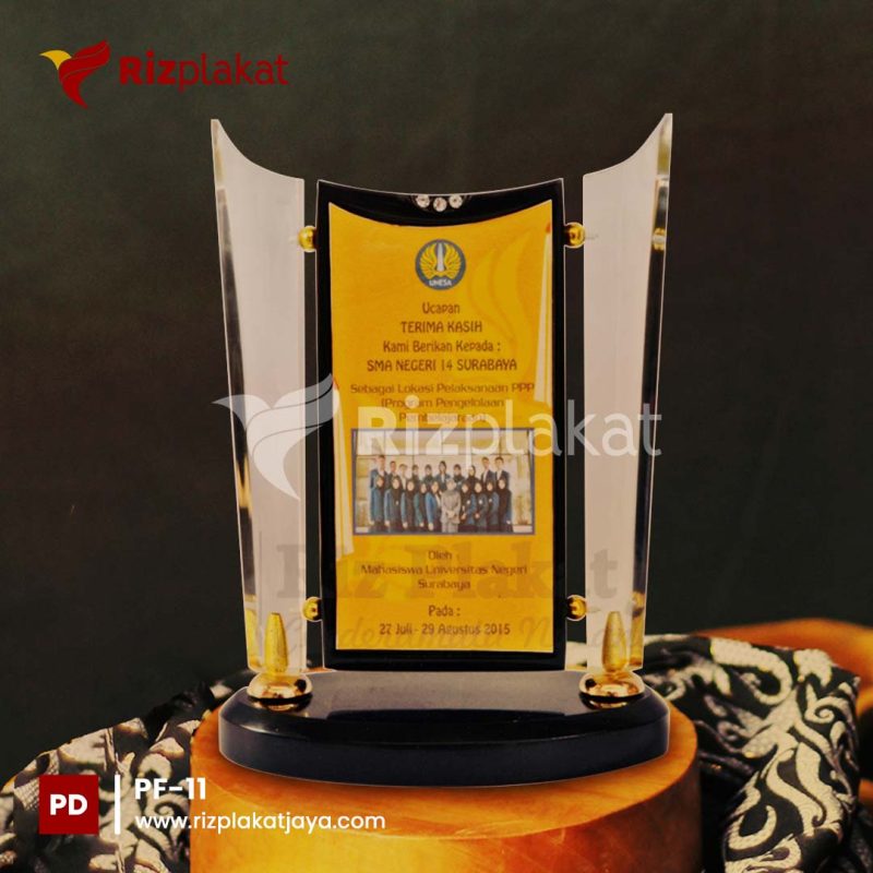 Plakat Fiber PPP Unesa